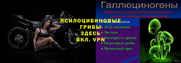 крисы Алексин
