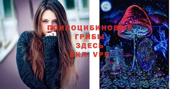 винт Алзамай